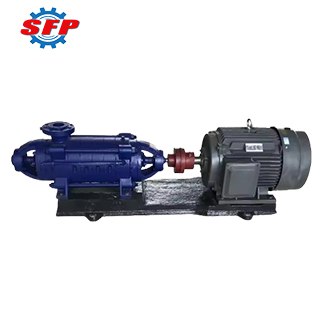 D Series Multistage Water Pump